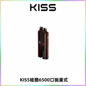 KIS5WAGOO哇酷6500口拋棄式 | 自由混搭雙口味 | 雙芯組合