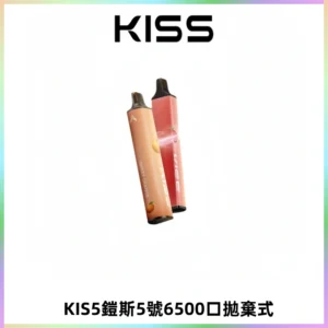 KIS5鎧斯5號一次性6500口磁吸式拋棄式電子煙#自由混搭#